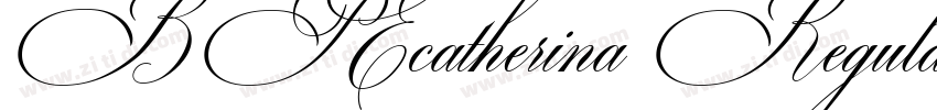 BP Ecatherina Regula字体转换 BP Ecatherina Regula字体转换